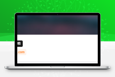 子比主题美化 – 用户中心添加UID/用户名/邮箱按钮 - 轻创社