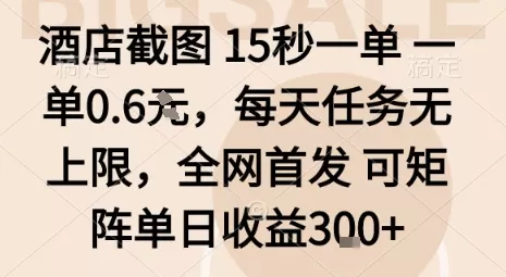 酒店截图15秒一单，一单0.6米，每天任务无上限，全网首发可矩阵单日收益3张【揭秘】 - 轻创社