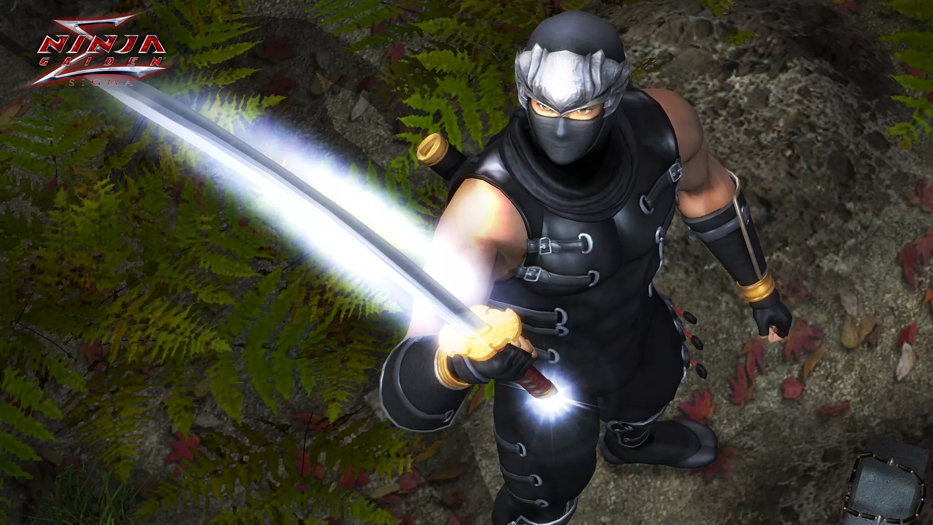 《忍者龙剑传：大师合集/NINJA GAIDEN: Master Collection》PC中文版下载-含v1.0.0.3 - 轻创社