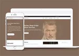 明星御用发型师网站模板下载 - 轻创社