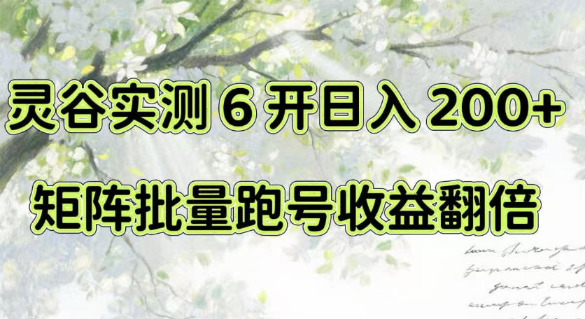一台电脑就能做！灵谷实测6开日入200+，矩阵批量跑号收益翻倍【揭秘】 - 轻创社