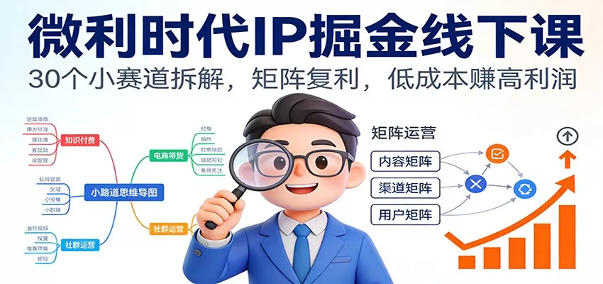 微利时代IP掘金线下课：30个小赛道拆解，矩阵复利，低成本赚高利润 - 轻创社