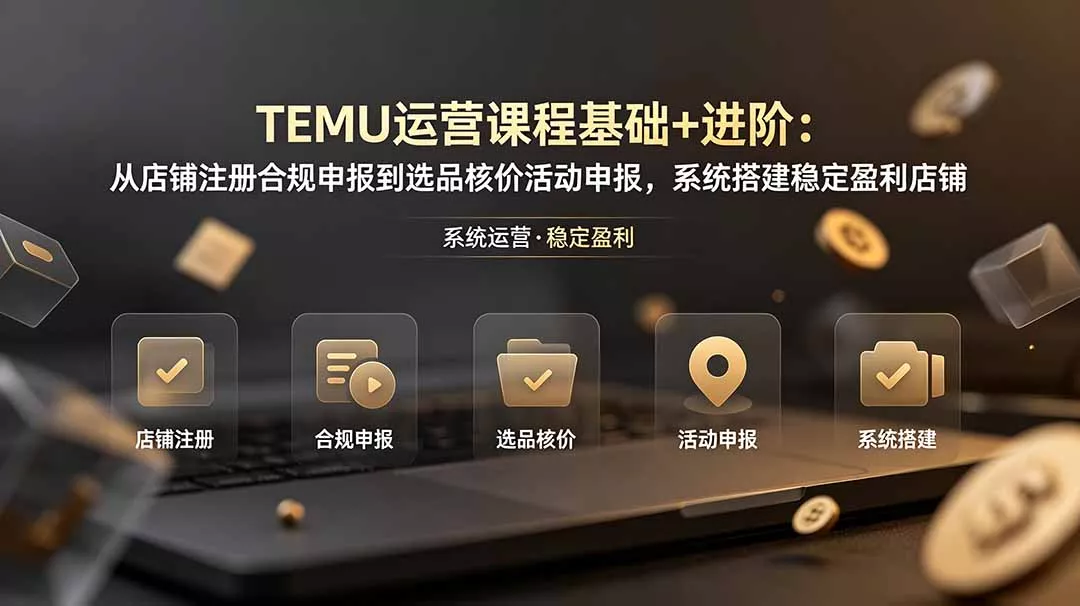 TEMU运营课程(基础+进阶 - 轻创社
