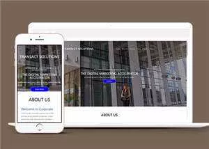 简约公司项目解决方案HTML网页模板下载 - 轻创社