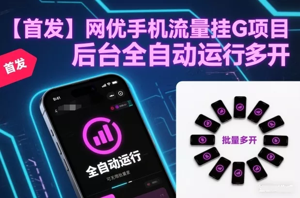 【首发】网优手机流量挂G项目，后台全自动运行，可无限批量多开【揭秘】 - 轻创社