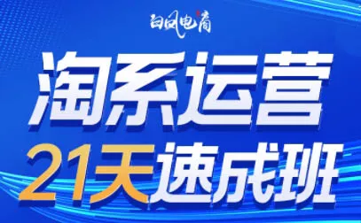 白凤电商·淘系运营21天速成班(更新2026) - 轻创社