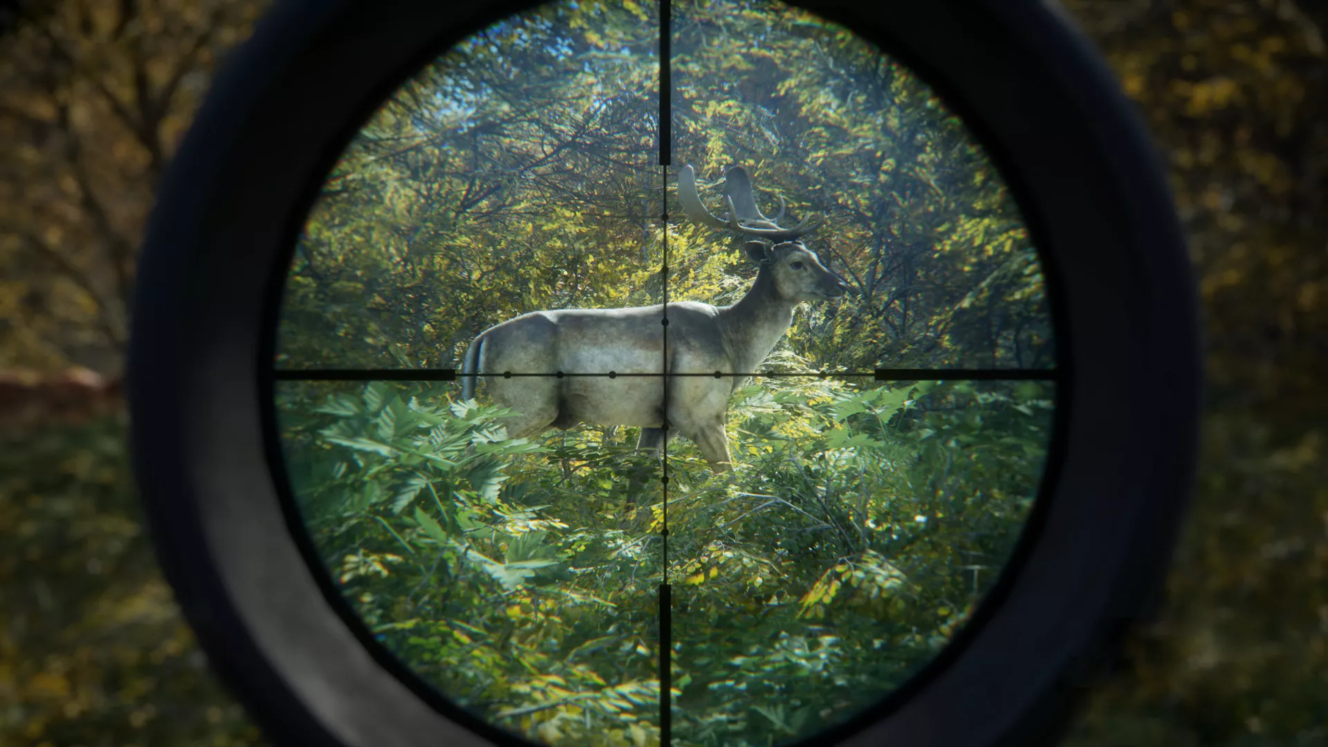 《猎人：荒野的召唤/theHunter: Call of the Wild》PC中文版下载-含v3101875 - 轻创社
