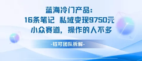 蓝海项目：16条笔记私域变现9750米小众赛道操作的人不多 - 轻创社