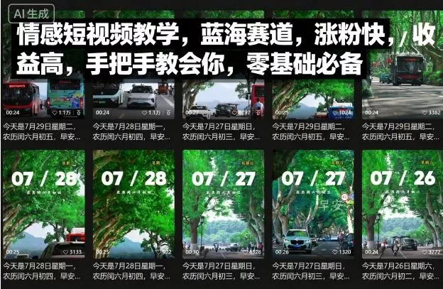 情感短视频教学，蓝海赛道，涨粉快，收益高，手把手教会你，零基础必备 - 轻创社