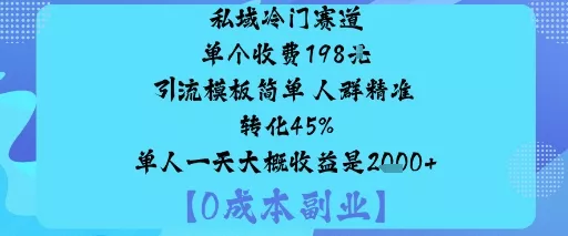 私域冷门赛道:单个收费198米引流模板简单人群精准转化45%单人一天大概收益是1k+ - 轻创社