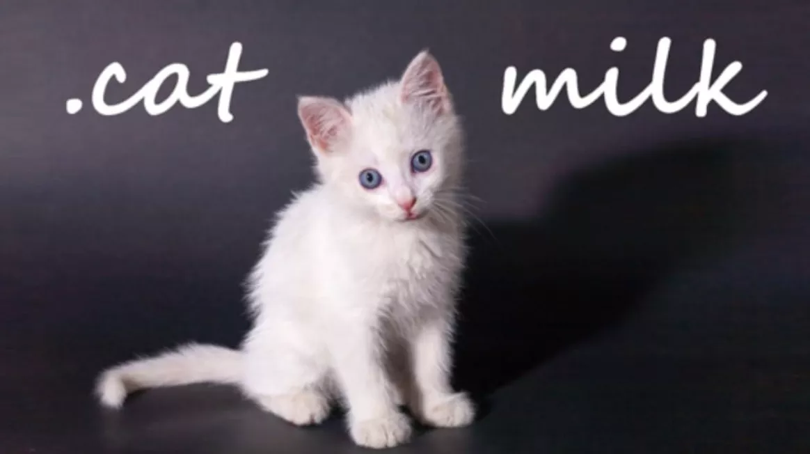 《小奶猫 .cat Milk》Switch英文版NSP下载 - 轻创社