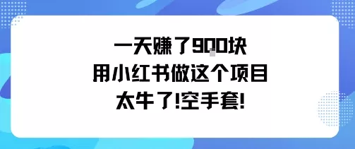 一天挣了9张用小红书做这个项目太牛了，空手套 - 轻创社