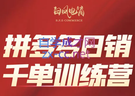 白凤电商·拼多多日销千单训练营(更新2月) - 轻创社