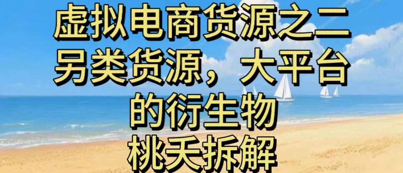 虚拟电商之二—另类的货源，大平台的衍生物 - 轻创社