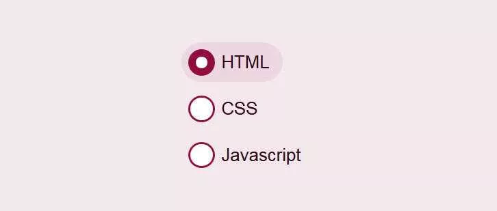 css3美化单选按钮点击选中动画特效 - 轻创社