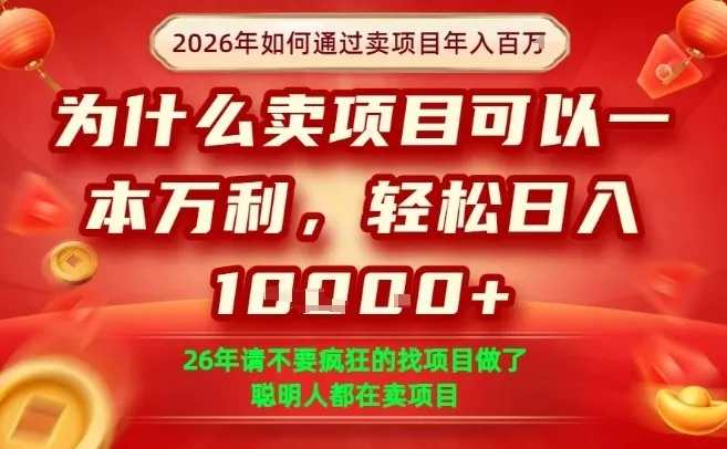 一单净利润1K+，26年想年入100个W，死磕卖项目就够了【揭秘】 - 轻创社