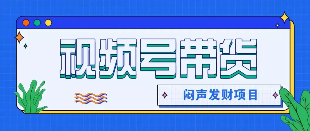 微信视频号带货项目,轻松日赚赚2000+,这个挣钱入口很多伙伴都在闷声发财 - 轻创社