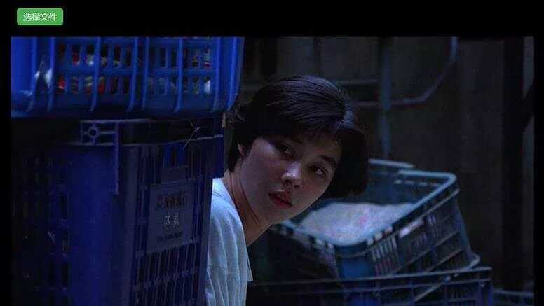 H5视频播放器源码_支持本地选择视频播放，带截图功能 - 轻创社