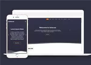 简约业务团队动态响应式网页模板下载 - 轻创社