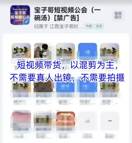 宝子哥头部团队短视频带货，以混剪为主，不需要真人出镜，不需要拍摄【更新11月】 - 轻创社