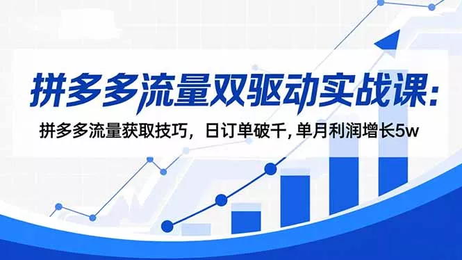 拼多多流量双驱动实战课：拼多多流量获取技巧，日订单破千,单月利润增长5w - 轻创社