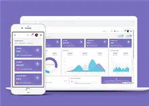 手机app运营数据统计后台模板下载 - 轻创社