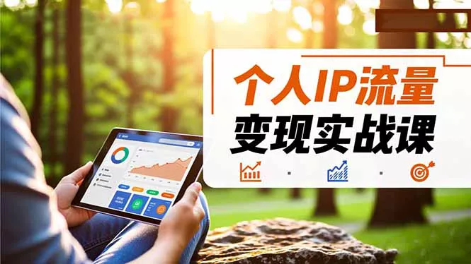 个人IP流量变现实战课，涵盖多平台引流、打造个人IP并实现稳定流量变现 - 轻创社