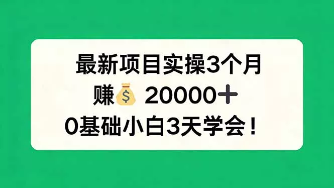 最新项目实操3个月，赚钱20000+，0基础小白3天学会！ - 轻创社