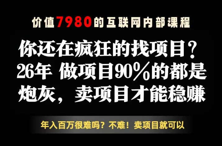 26年请不要疯狂的找项目了，卖项目远比你想象的暴利，你也可以月入10W+【揭秘】 - 轻创社
