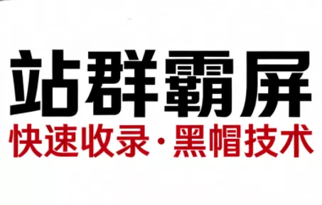 SEO野路子实战全集:快速收录、站群霸屏、黑帽技术 SEO野路子实战全集:快速收录、站群霸屏、黑帽技术