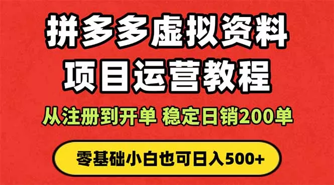 拼多多开店运营课程： 蓝海变现玩法，轻松实现睡后收入 零基础小白也可… - 轻创社