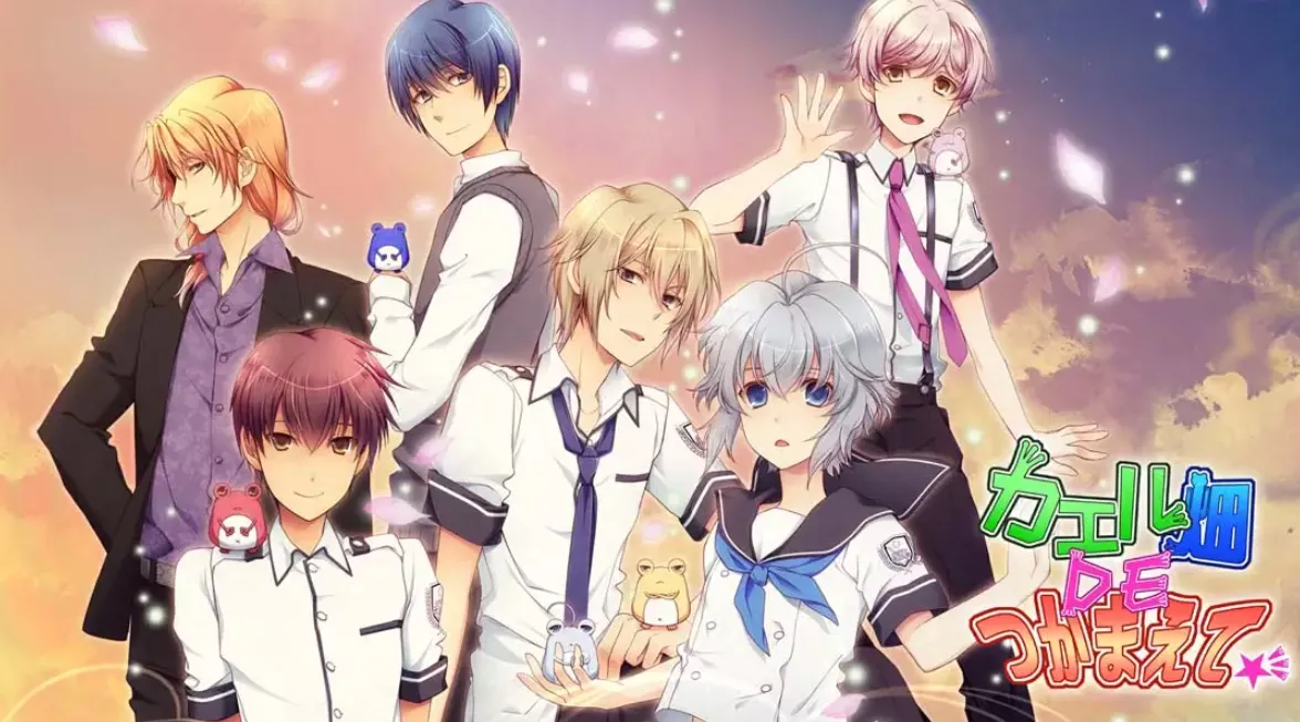 《蛙畑奇事 カエル畑DEつかまえて 乙女》Switch日文版XCI下载 – 含1.0.0补丁 - 轻创社